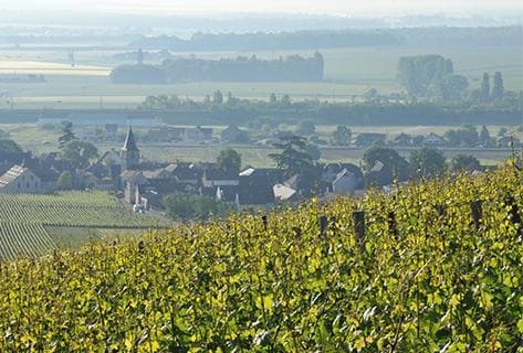 Mongeard-Mugneret - 3