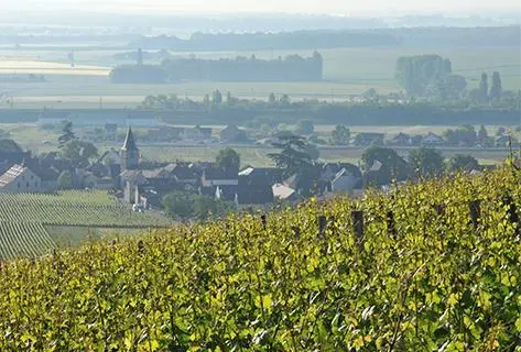 Mongeard-Mugneret - 3