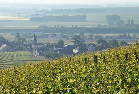 Mongeard-Mugneret - 3