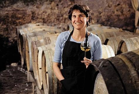 Foto della tenuta - Montbourgeau