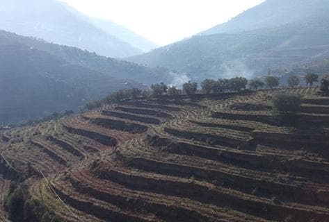 Foto della tenuta - Niepoort