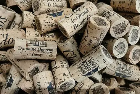 Photo of partner producer Ogereau (Domaine)