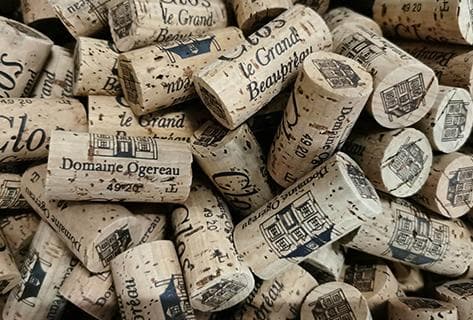 Photo du domaine partenaire Ogereau (Domaine)