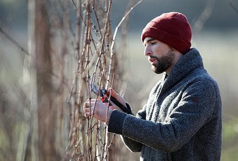 Foto della tenuta - Ostertag