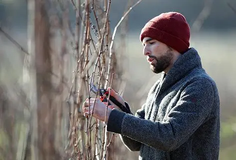 Photo du domaine partenaire Ostertag