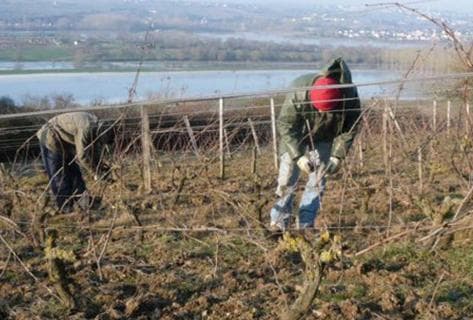 Foto della tenuta - Patrick Baudouin