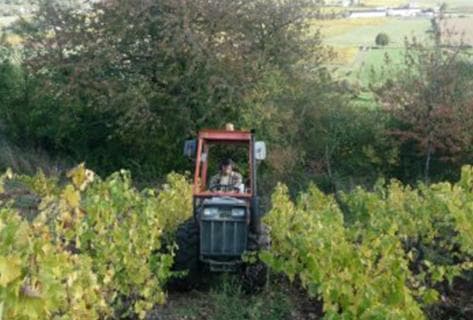 Patrick Baudouin - 3