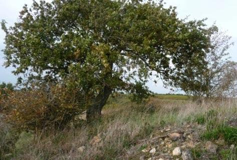 Patrick Baudouin - 4