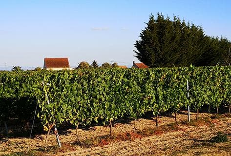 Patrick Bouju La Bohème - 2