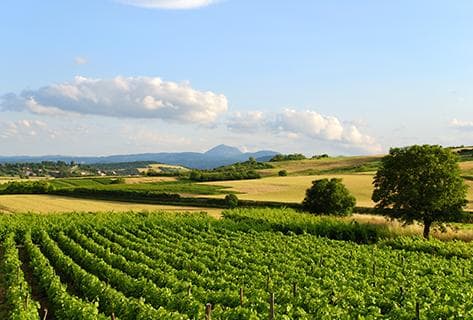 Patrick Bouju La Bohème - 3