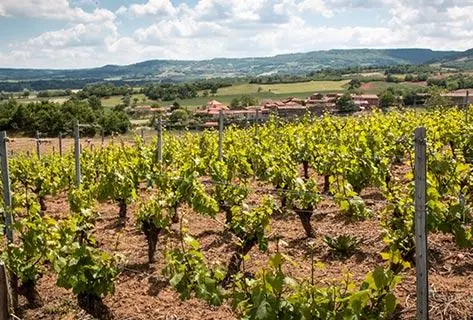 Patrick Bouju La Bohème - 4