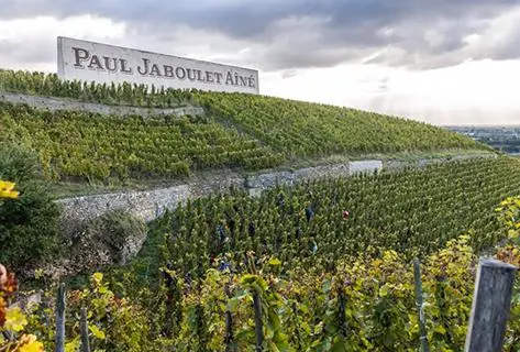Photo du domaine partenaire Paul Jaboulet Aîné