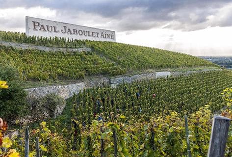 Foto della tenuta - Paul Jaboulet Aîné