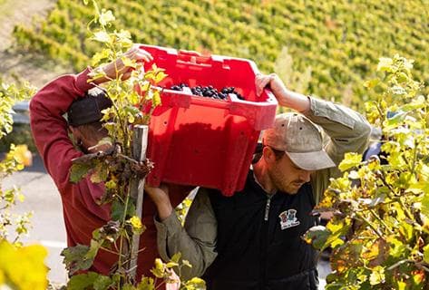 Paul Jaboulet Aîné - 3