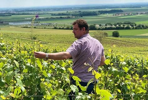 Photo du domaine partenaire Philippe Gonet