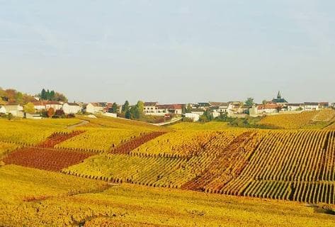 Philippe Lancelot - 1