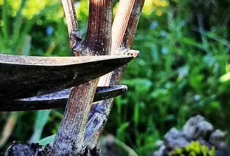 Philippe Lancelot - 4