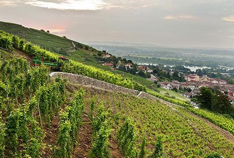 Pierre-Jean Villa - 3