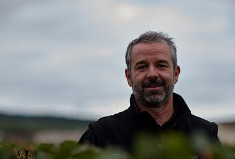 Foto des Partnerweinguts Pierre Péters
