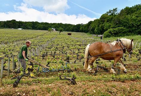 Ponsot - 3