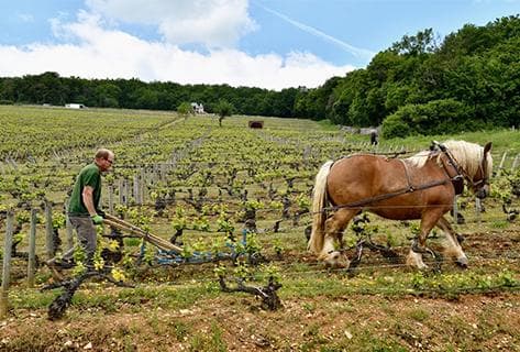Ponsot - 3