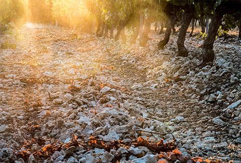 Prieuré St-Jean de Bébian - 1