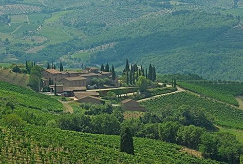 Foto des Partnerweinguts Querciabella