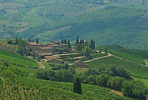 Querciabella - 1