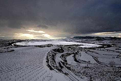 R. Lopez de Heredia - 4