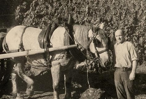 Rapet Père & Fils - 3