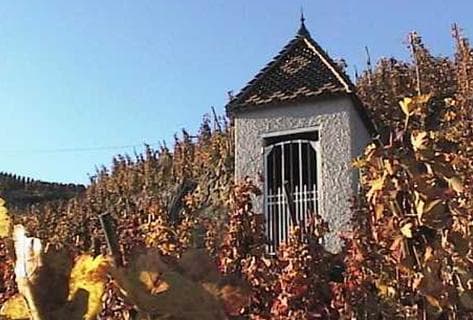 Photo of partner producer René Rostaing