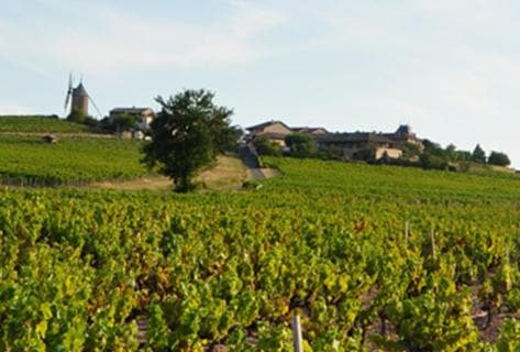 Foto della tenuta - Richard Rottiers