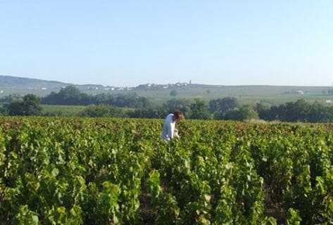 Richard Rottiers - 3