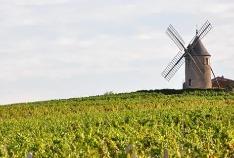 Richard Rottiers - 4