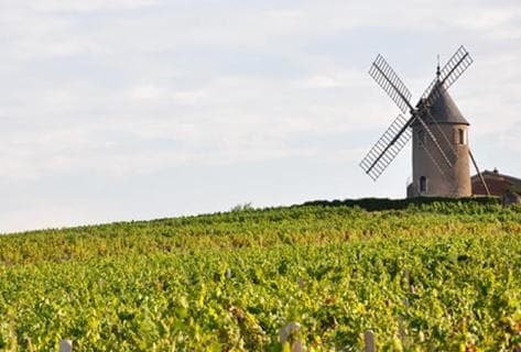 Richard Rottiers - 4