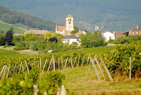 Photo of partner producer Rijckaert