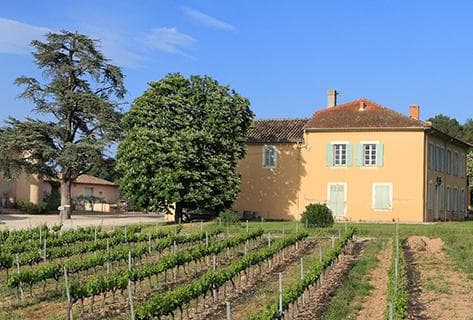 Foto della tenuta - Rimauresq