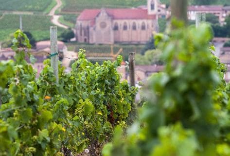 Foto della tenuta - Robert Denogent