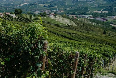 Foto della tenuta - Roberto Voerzio