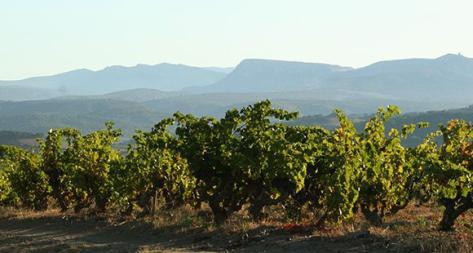 Photo principale du domaine