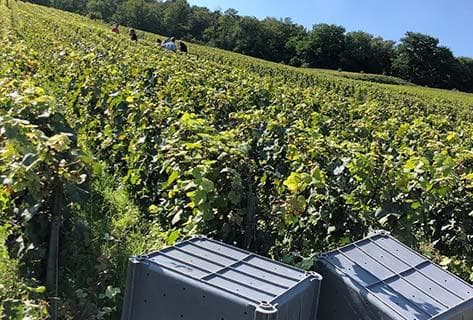 Foto della tenuta - Roger Coulon