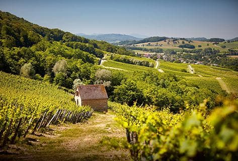 Photo du domaine partenaire Rolet