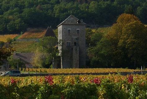 Foto della tenuta - Rossignol-Trapet