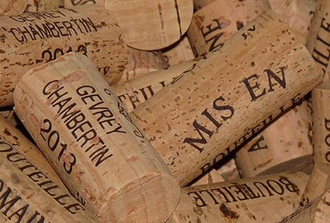 Rossignol-Trapet - 4