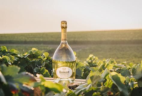Ruinart - 2