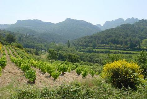 Saint Cosme - 2