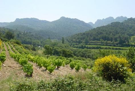 Saint Cosme - 2