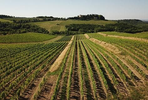 Photo du domaine partenaire San Giusto A Rentennano