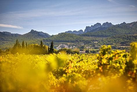 Photo du domaine partenaire Santa Duc