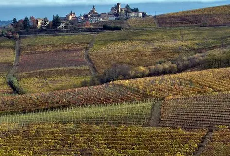 Foto della tenuta - Sottimano